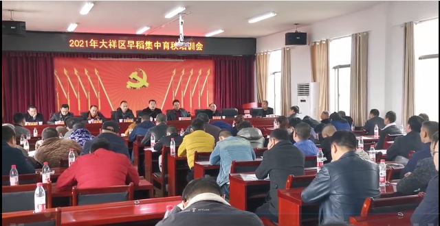 大祥区推广机抛秧作业技术(图2)